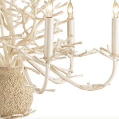 Antique White Coral Small 6 - Light Chandelier - Our Boat House