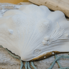 Bear Claw Sand - Multiple Sizes - Our Boat House