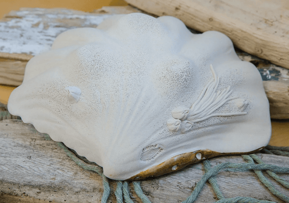 Bear Claw Sand - Multiple Sizes - Our Boat House
