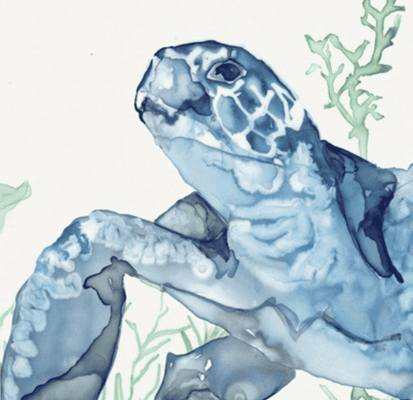 Buoyant Sea Turtle 2 - Our Boat House