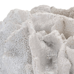 Caribbean Coral Table Lamp - Our Boat House
