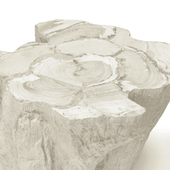 Cota Fossilized Clam Side Table - Our Boat House