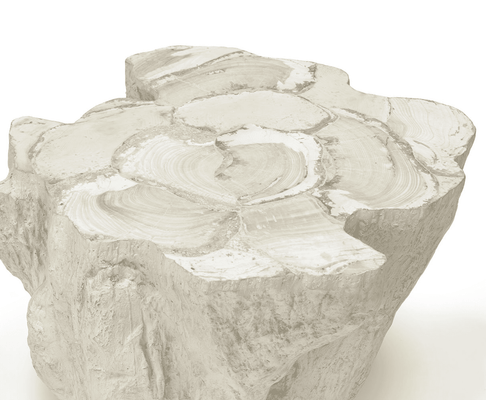 Cota Fossilized Clam Side Table - Our Boat House