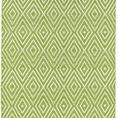 Diamond Indoor/Outdoor Rug - Sprout Green & White - Our Boat House