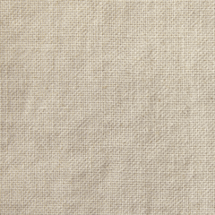 Fabric Swatch - Island Collection: Brevard Birch - Our Boat House