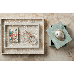 Fawn Abalone Box - Our Boat House