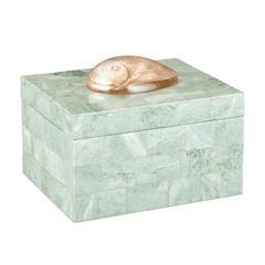 Fawn Abalone Box - Our Boat House