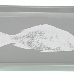 Fish Tray - Lacquered Light Grey with Silver Cleat Handles - Our Boat House
