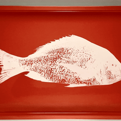 Fish Tray - Lacquered Orange with Silver Cleat Handles - Our Boat House