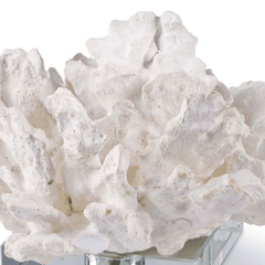 Flower Coral On Crystal Base - Our Boat House