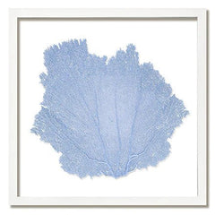 Framed Custom Sea Fan Art (multiple sizes & colors) - White Frame - Our Boat House