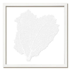 Framed Custom Sea Fan Art (multiple sizes & colors) - White Frame - Our Boat House