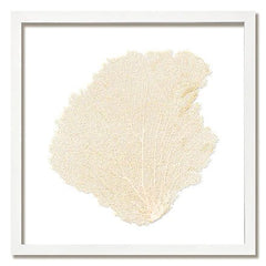 Framed Custom Sea Fan Art (multiple sizes & colors) - White Frame - Our Boat House