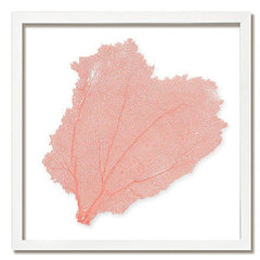 Framed Custom Sea Fan Art (multiple sizes & colors) - White Frame - Our Boat House