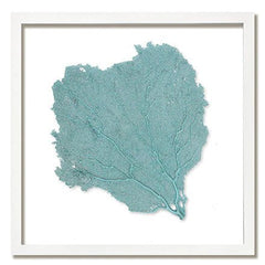 Framed Custom Sea Fan Art (multiple sizes & colors) - White Frame - Our Boat House