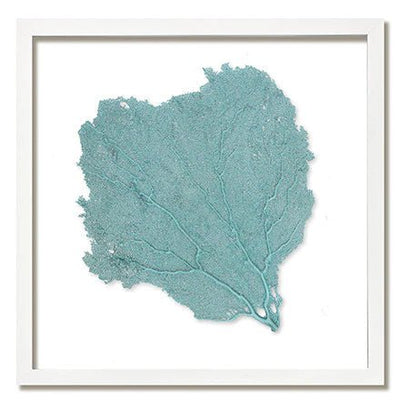 Framed Custom Sea Fan Art (multiple sizes & colors) - White Frame - Our Boat House