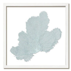 Framed Custom Sea Fan Art (multiple sizes & colors) - White Frame - Our Boat House