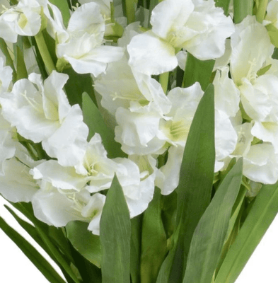 Gladiolus Tall Arrangement - Our Boat House