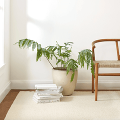 Holmstead Ivory Handwoven Wool Rug - Our Boat House