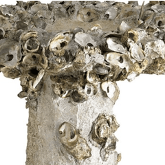 Oyster Shell Bird Bath - Various Sizes - Our Boat House