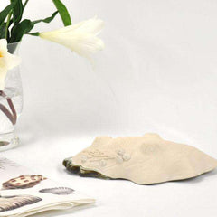 Oyster Shell Bowl - Small - Our Boat House
