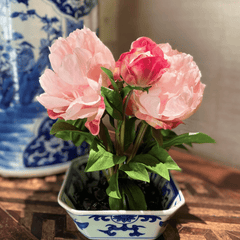 Pink Peony Cutting in Porcelain - Our Boat House