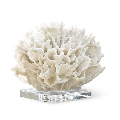 Ribbon Coral on Crystal Stand - Our Boat House