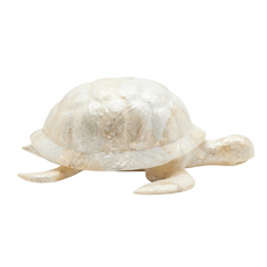Sammie Tortoise Decor - Set of Two - Our Boat House