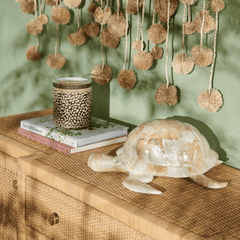 Sammie Tortoise Decor - Set of Two - Our Boat House