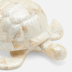 Sammie Tortoise Decor - Set of Two - Our Boat House