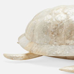 Sammie Tortoise Decor - Set of Two - Our Boat House