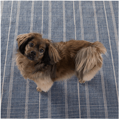 Samson Navy Handwoven Indoor/Outdoor Rug - Our Boat House
