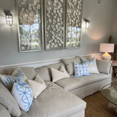 Silver Framed Sand Dollar Triptych: Coastal Elegance with Whimsical Charm -Several Sizes