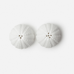 Sea Urchin Salt and Pepper Shakers - Our Boat House
