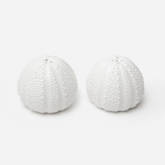 Sea Urchin Salt and Pepper Shakers - Our Boat House