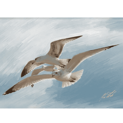 Seagull Giclee Framed - Our Boat House
