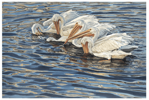 Six White Pelicans Giclee - Our Boat House