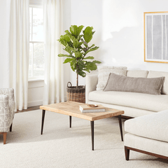 Sonoma Indoor/Outdoor Rug - Ivory - Our Boat House