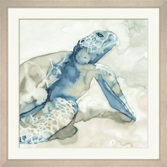 Translucent Turtle 1 - Our Boat House