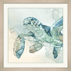 Translucent Turtle 2 - Our Boat House