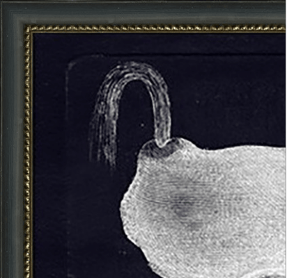 Trumpo (Sperm) Whale - Framed Giclee - Our Boat House
