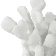 White Coral Bookends - 2 Pairs - Our Boat House