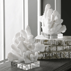 White Coral Bookends - 2 Pairs - Our Boat House
