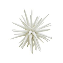 White Sea Urchin - Three Sizes - Our Boat House