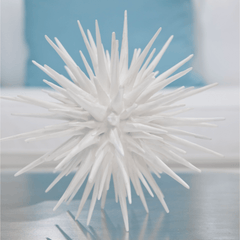White Sea Urchin - Three Sizes - Our Boat House